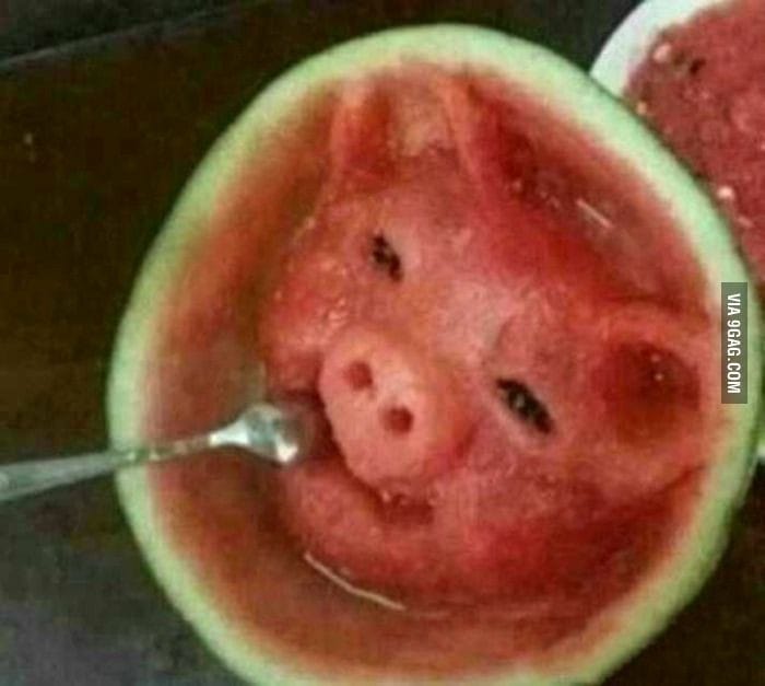 Pig carved into a watermelon