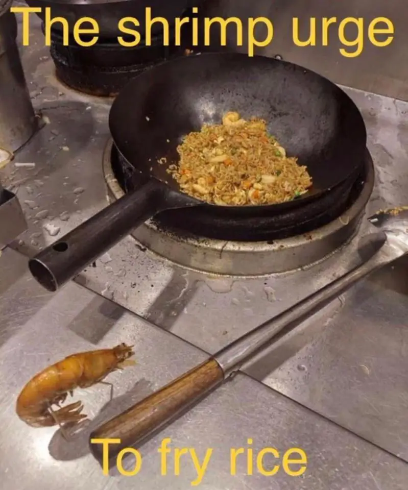 A shrimp standing in front of a wok full of rice
